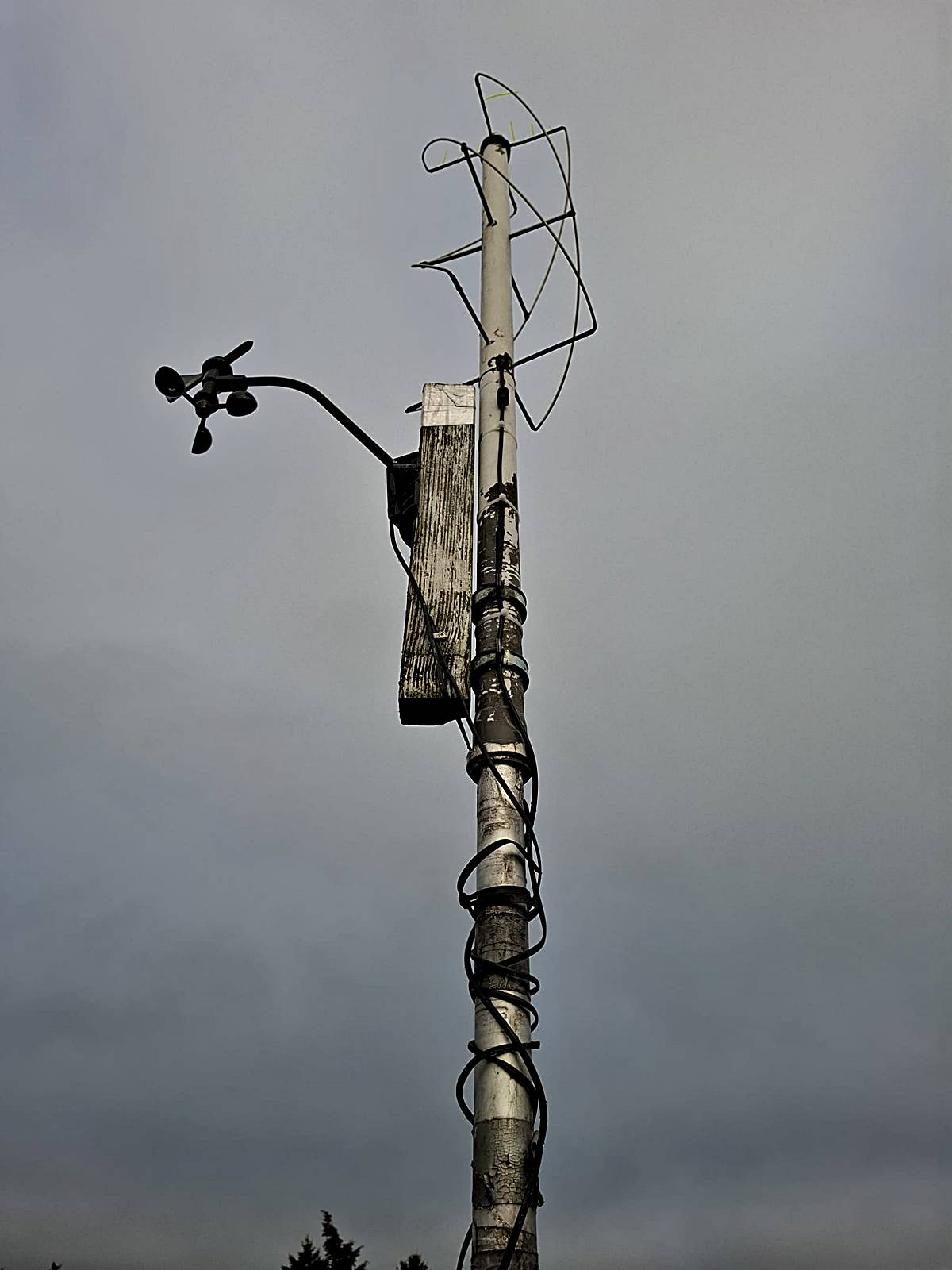 QFH-Antenne.jpg
